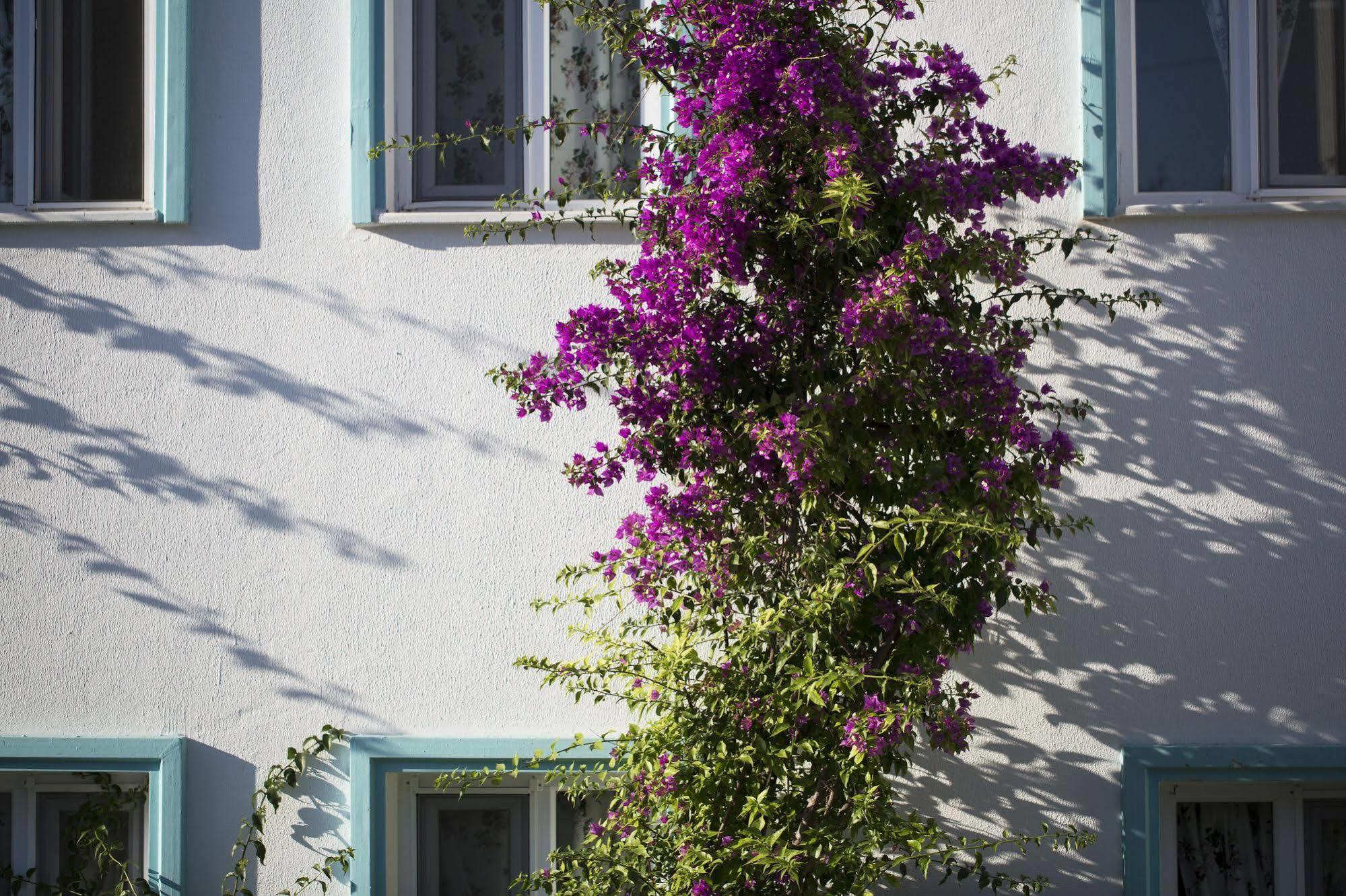 Istanbul Hotel Bodrum Türkbükü Zewnętrze zdjęcie
